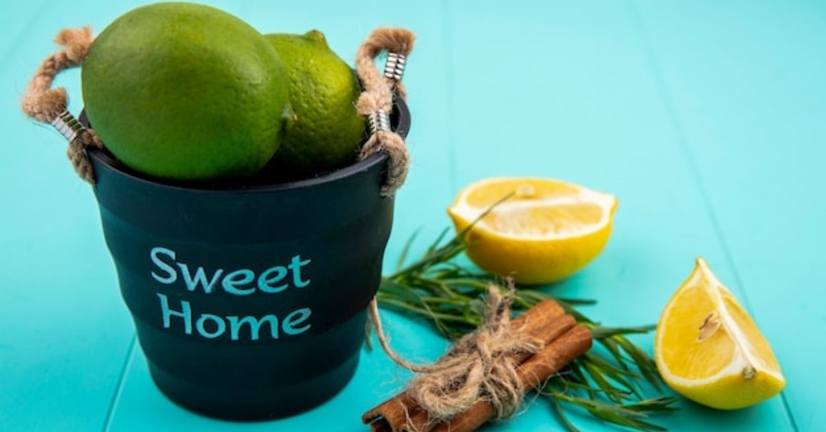 Eucalyptus Lemon Refresh Simmer Pot